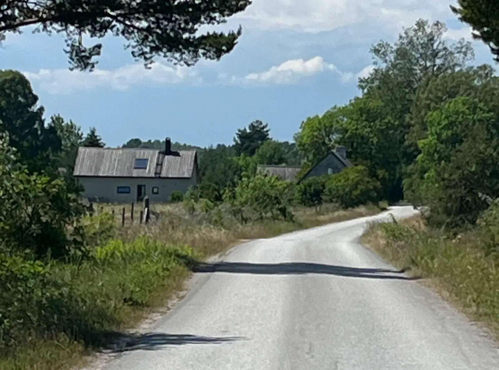 Hallgårds 428