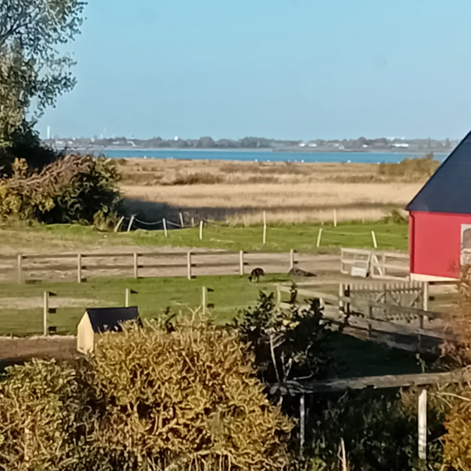 Östra Halörsvägen 223-26, Höllviken - bild 2