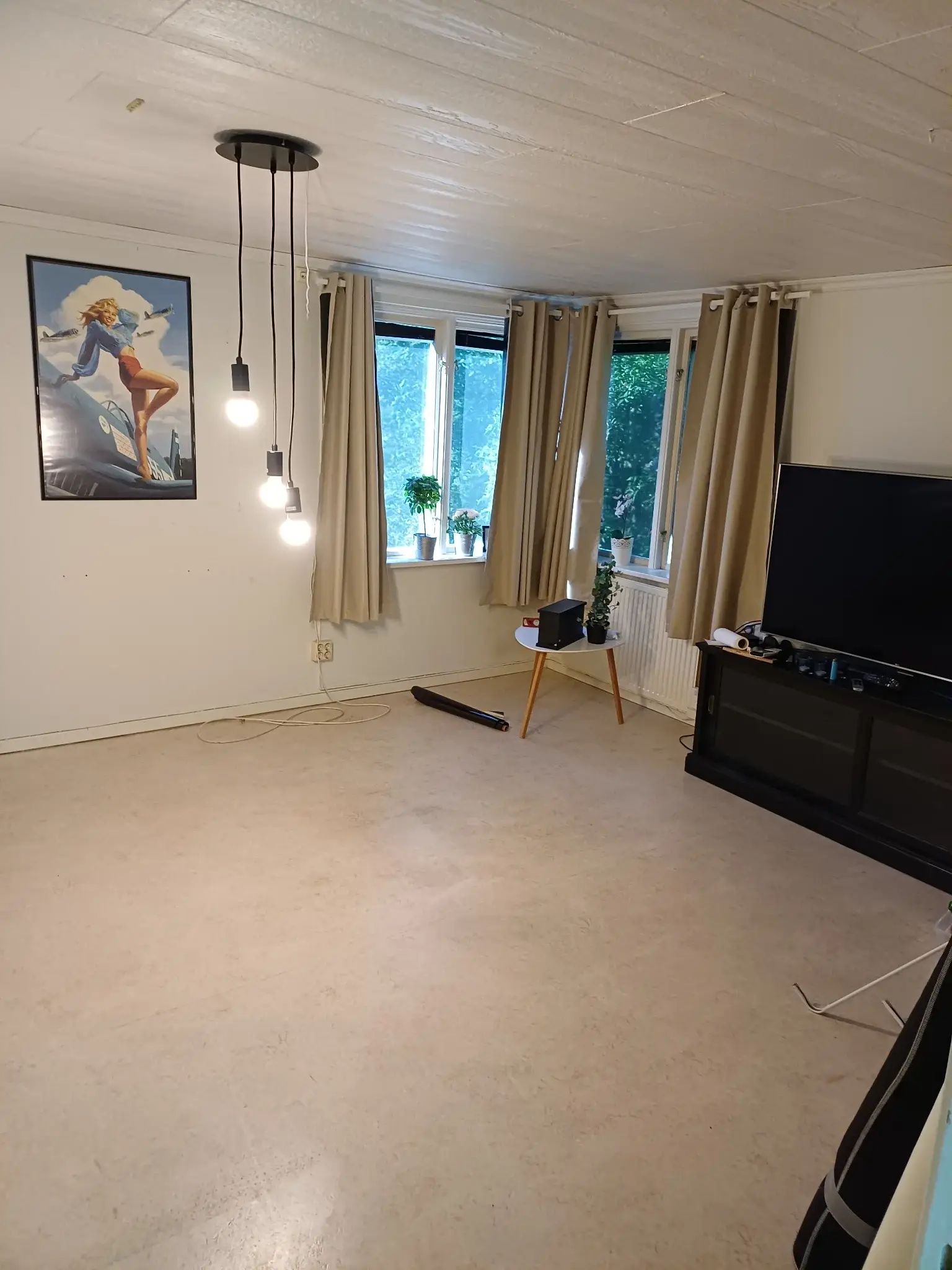 LANDERYD dockebo 1