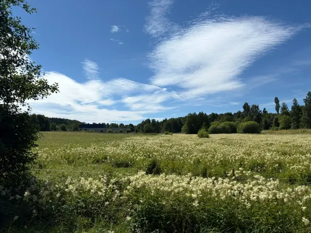 Högsvägen 3, Billingsfors - bild 5